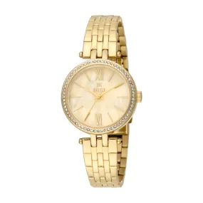 Fiorella Women Quartz/Analog Watch