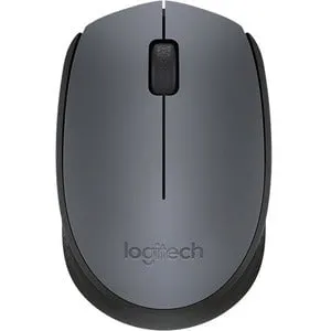 Logitech M171 Wireless Mouse - Wireless - Radio Frequency - Black, Grey - USB - 1000 dpi - Scroll Wheel - Symmetrical