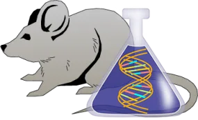 Mouse C1 Inhibitor Genetically Deficient Lung Lyophilized