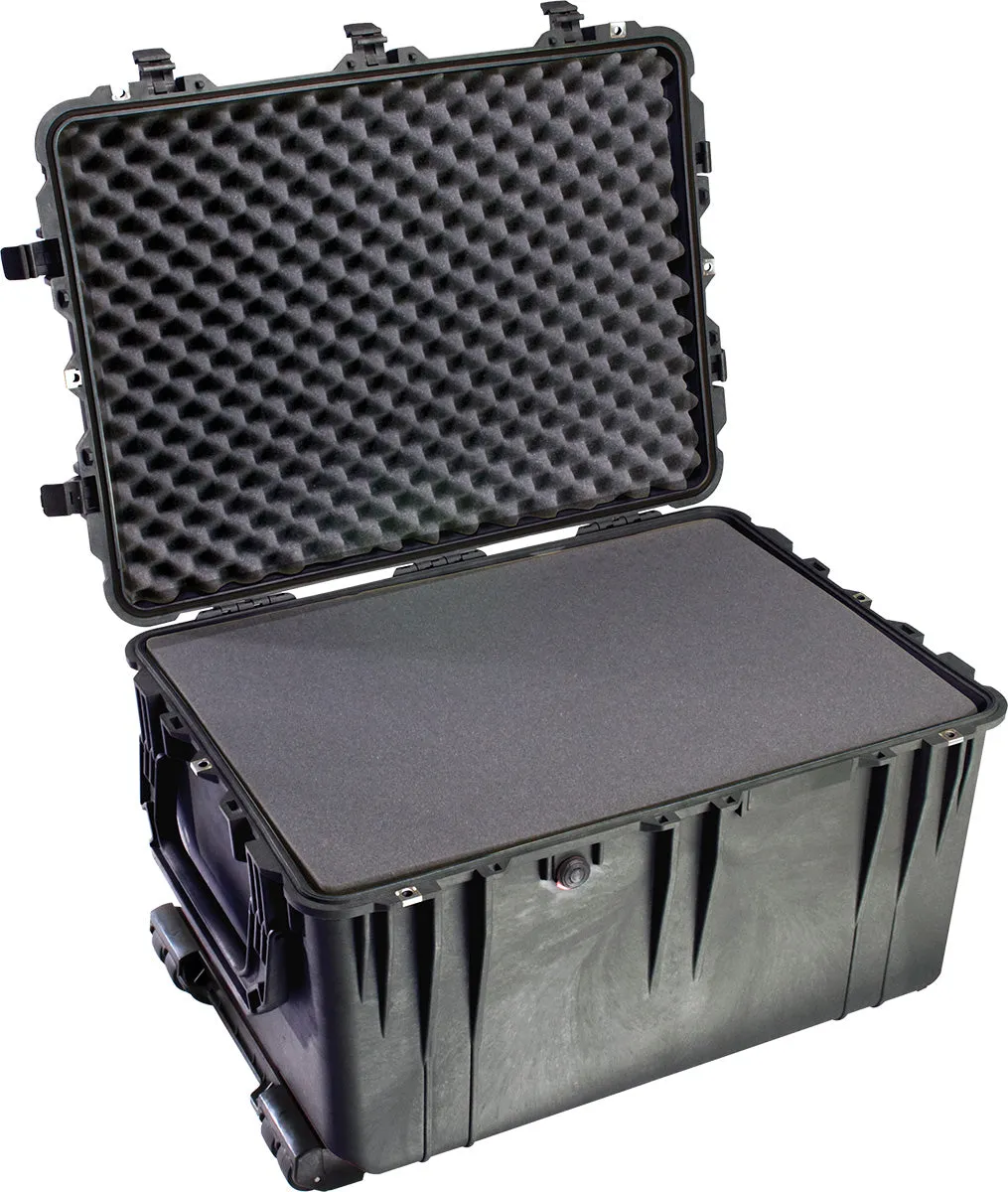 Pelican #1660 Case, Black